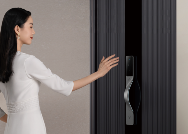 Xiaomi Lockin V5 Max пуш-пулл умный замок