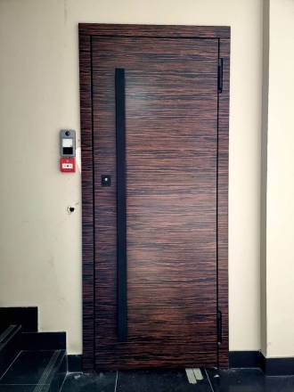 Входная дверь с отделкой шпоном Эбэн