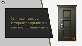 Термодверь с металлофиленкой и карнизом ТР-2/1 — Термодверь со стальным дизайном. — фото