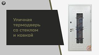 Термодверь с двойной термовставкой ТР-37 — Уличная термодверь со стеклом и ковкой. Модель ТР-36/1 — фото