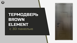 Уличная термо дверь ELEMENT с 3D панелью ТР-3 — Термодверь BROWN ELEMENT. ТР-3 — фото