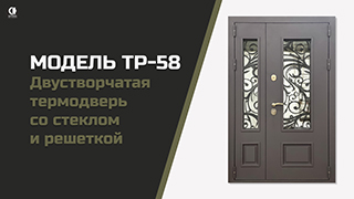Двустворчатая дверь с терморазрывом, с металлическими филенками и стеклом ТР-58 — Двустворчатая термодверь со стеклом и решеткой. Модель ТР-58. — фото