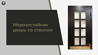 Уличные — Уличная термодверь для коттеджа. — фото