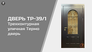 Видео — Трехконтурная уличная Термо дверь. Модель ТР-39/1 — фото