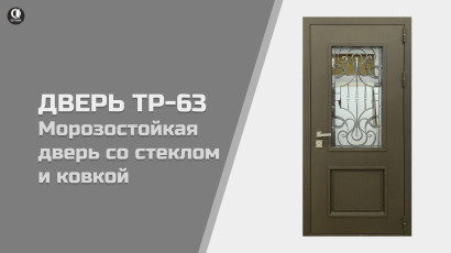 Видео — Уличная термодверь с металлической филенкой, со стеклом и ковкой. Модель "Тр-63" — фото