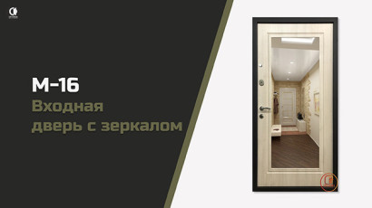 Видео — Входная звукоизоляционная дверь с зеркалом — фото