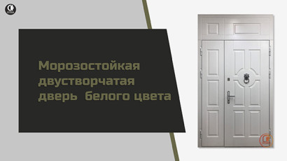 Двустворчатые металлические двери — Уличная двустворчатая дверь с терморазрывом — фото