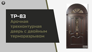 Арочные — Арочная трехконтурная дверь с двойным терморазрывом — фото
