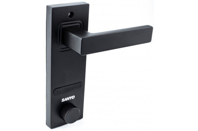 Sanyo D701 USmart Go